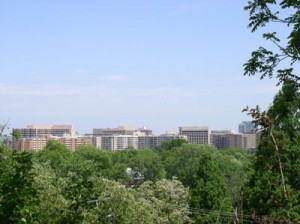 Crystal City as seen from Arlington Ridge