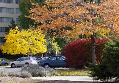  of parkland and is known for its landscaping and natural setting