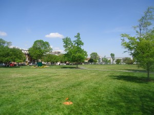 The field stretches several blocks