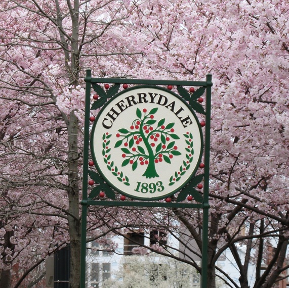 blossoms around Cherrydale sign