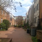 Cameron Mews in the afternoon