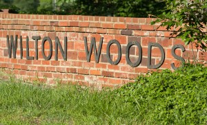 Wilton Woods