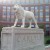 Lion statue at entrance of Carlyle District office complex