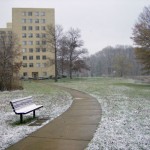 bench and walkway with snow