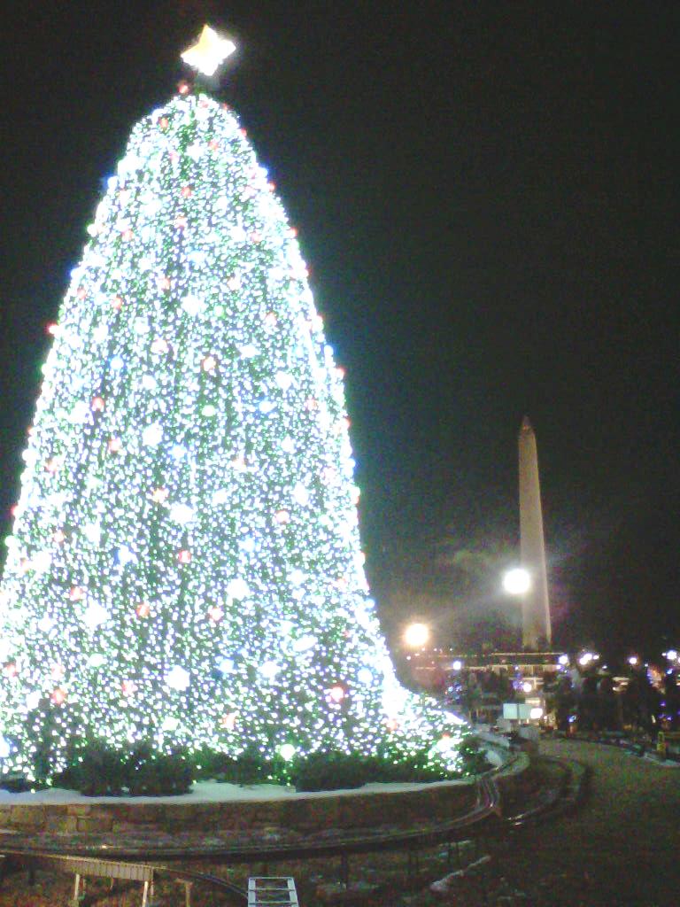 The National Christmas Tree and the Washington Monument