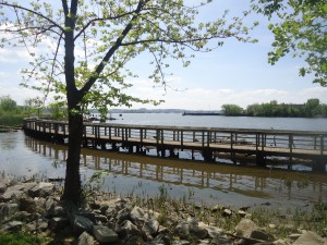 A pier over the water