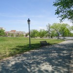 Another section of the park during broad day light