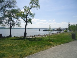 The Potomac River juts out to the tip of Founders Park