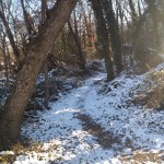 Belle View has several trails