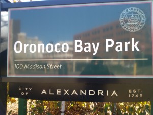 Welcome to Oronoco Bay Park