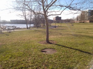 Oronoco Bay Park is right in front of the Potomac River