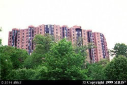 high-rise condominium