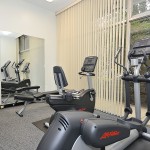 An unoccupied fitness room