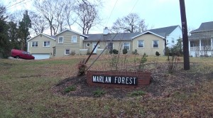 Marlan Forest
