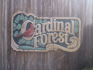 Cardinal Forest